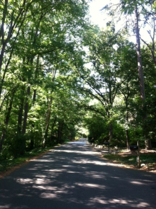 Greenwood Road, Chapel Hill NC on www.adventuresinexpatland.com