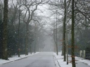 Snow in Wassenaar on www.adventuresinexpatland.com